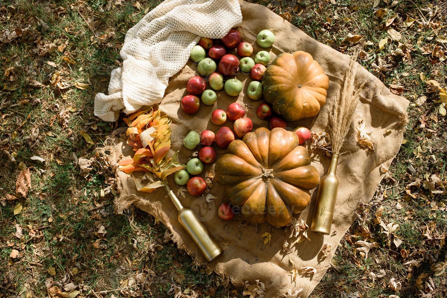 herfstdecor in het park. pompoenen en rode appels liggend in houten kist op herfst achtergrond. herfst tijd. dankdag. foto