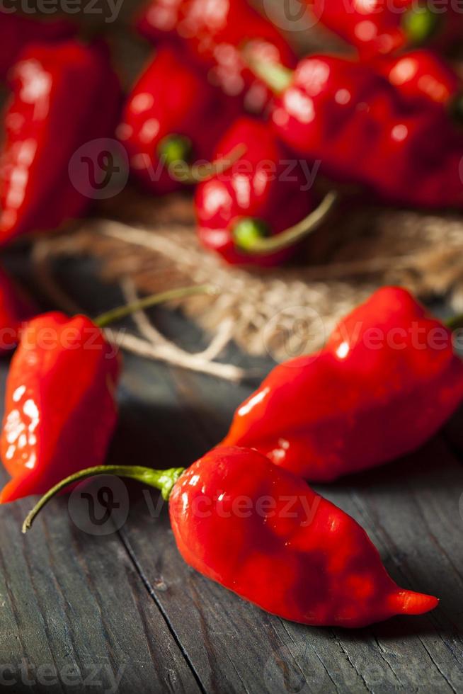 pittige hete bhut jolokia ghost peppers foto