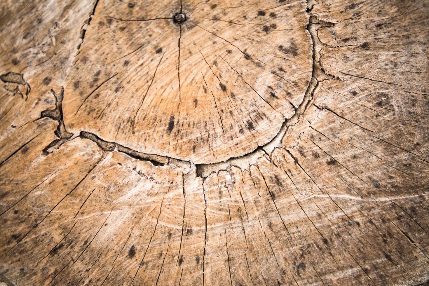 houten gestructureerde achtergrond. dwarsdoorsnede van een log gesneden einde houten structuur. foto