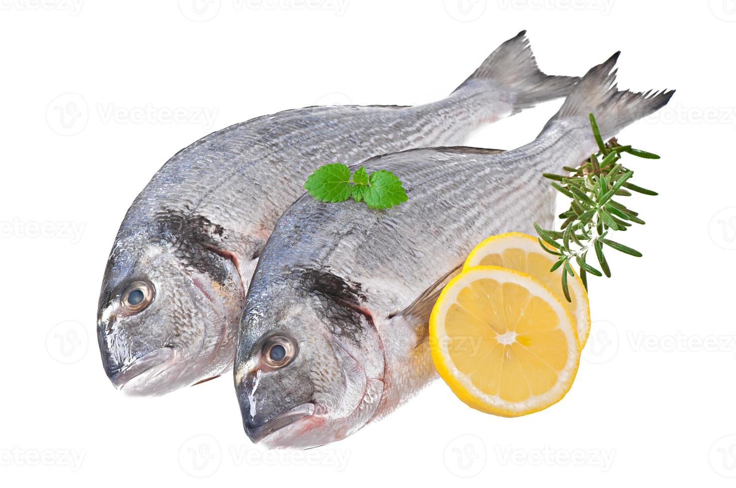 verse rauwe dorado vis op witte achtergrond foto