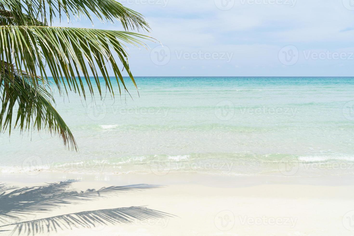 strand voor achtergrond met kristalheldere zee en palmboom op de voorgrond foto