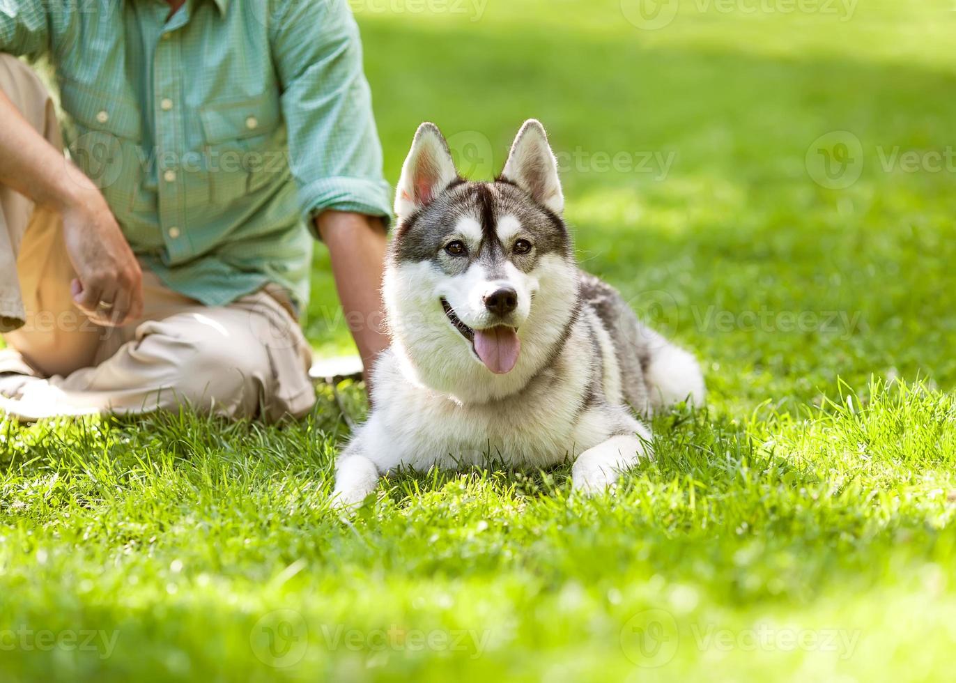 man en husky hond wandelen in het park. foto