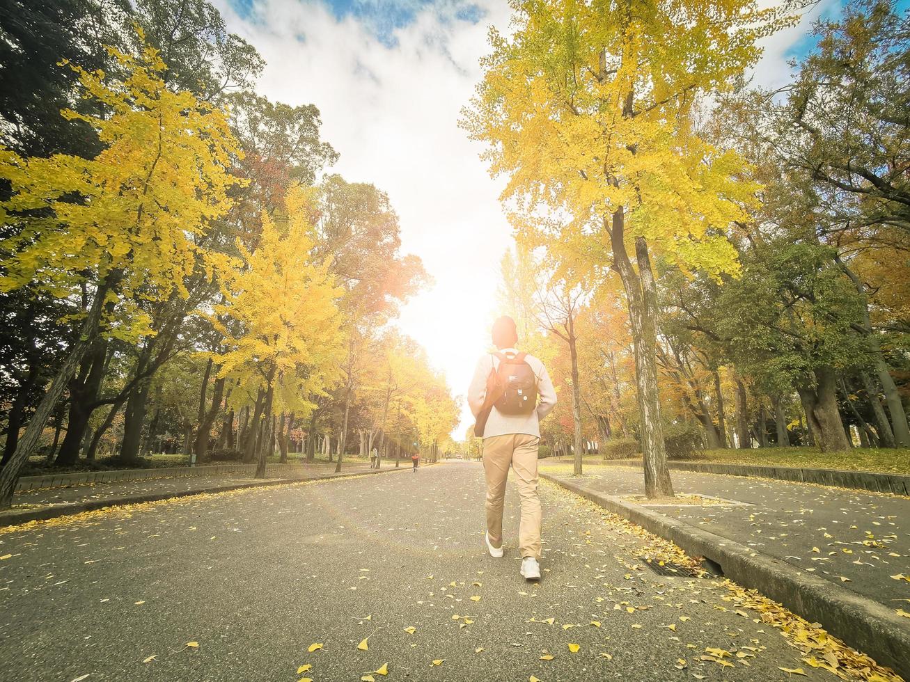 gele droge ginkgo-boom en aziatische man lopen op straat in het kasteelpark van osaka met zonlichteffect, in het herfstseizoen. een rustige wandeling in het park om de herfstkleuren te bewonderen, osaka, japan. foto