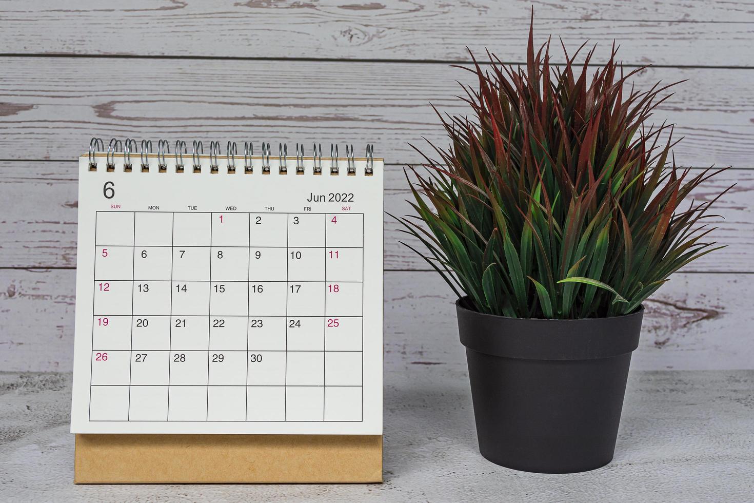 witte juni 2022 kalender en potplant op houten bureau. ruimte kopiëren. foto