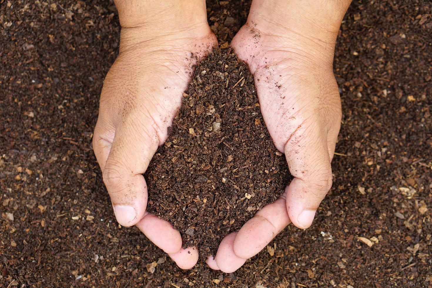 vruchtbare grond wordt gebruikt voor het kweken van planten in mensenhanden. foto