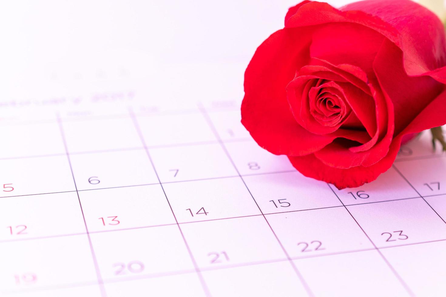 enkele roze bloem op kalenderpagina, valentin, valentijnskaartconcept, foto