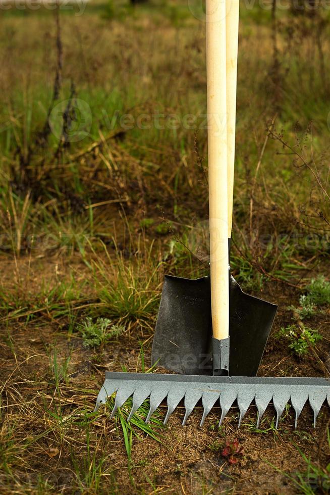 hark en schop worden in de grond gestoken om in de lente te planten. lente, tuinplanten, werken op een stuk grond, landschapsarchitectuur, tuinieren, bloemen kweken, fruitgewassen. kopieer ruimte foto