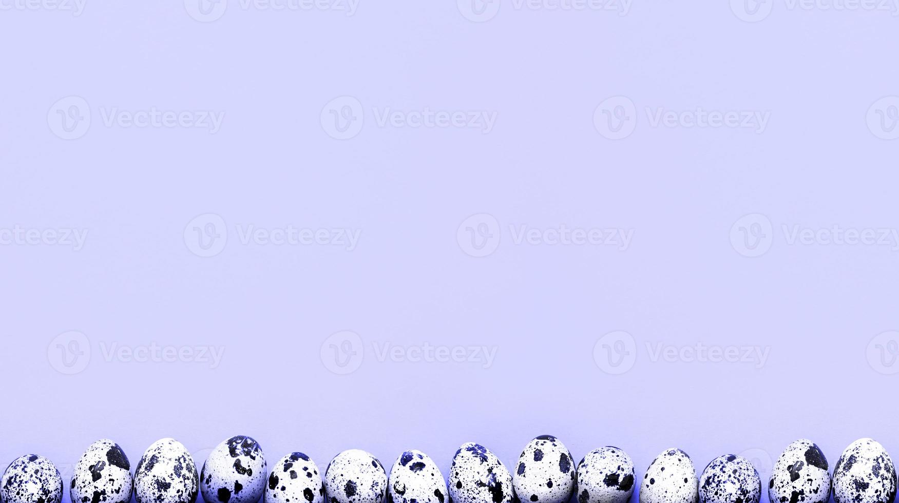 Pasen lente achtergrond met ei. gevlekte kwarteleitjes op een gele achtergrond op de onderrand van het frame. kopieer ruimte, banner foto