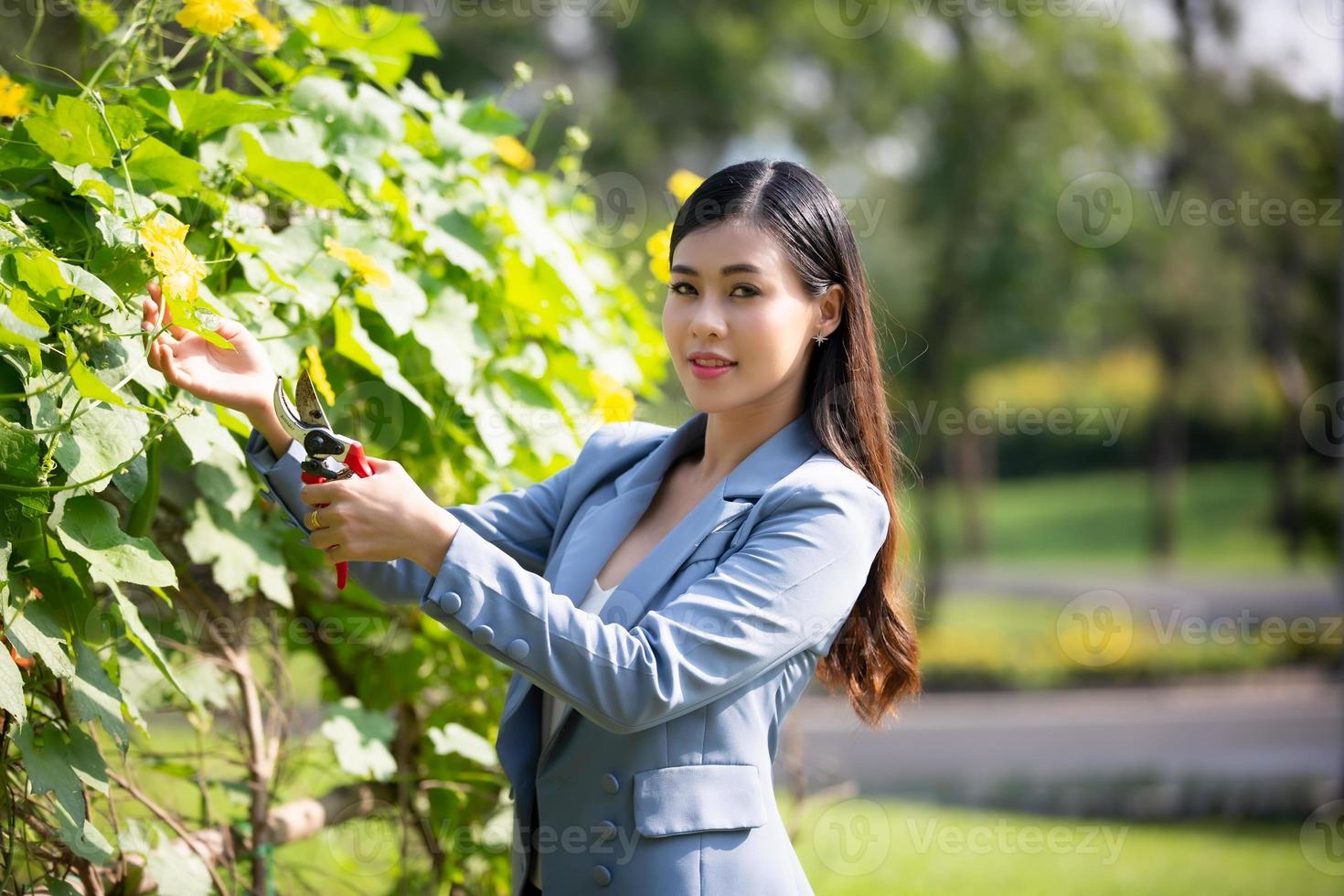 jonge aantrekkelijke vrouw oogst groente in boerderij. jonge aziatische vrouw oogst en haalt verse biologische moestuin op in de mand in de hydrocultuurboerderij, landbouw voor gezond voedselconcept foto