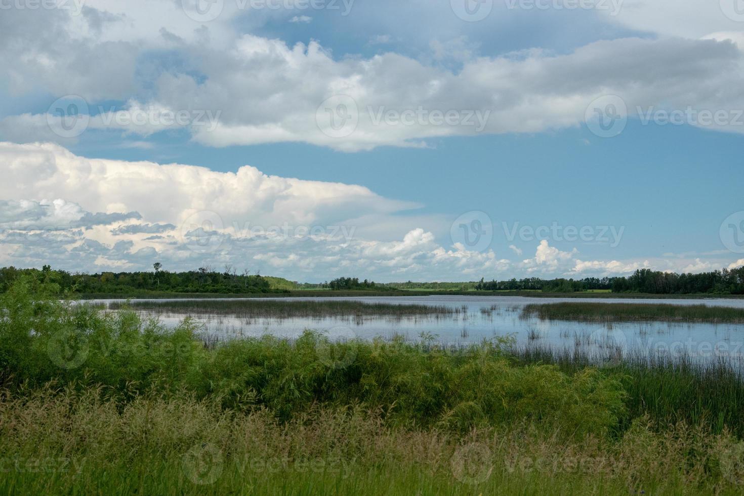 moerasland in saskatchewan, canada. foto