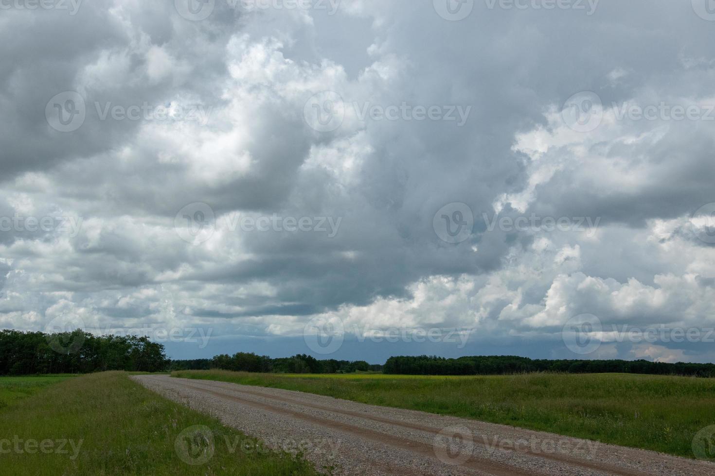 bereik weg en landbouwgrond in saskatchewan, canada. foto