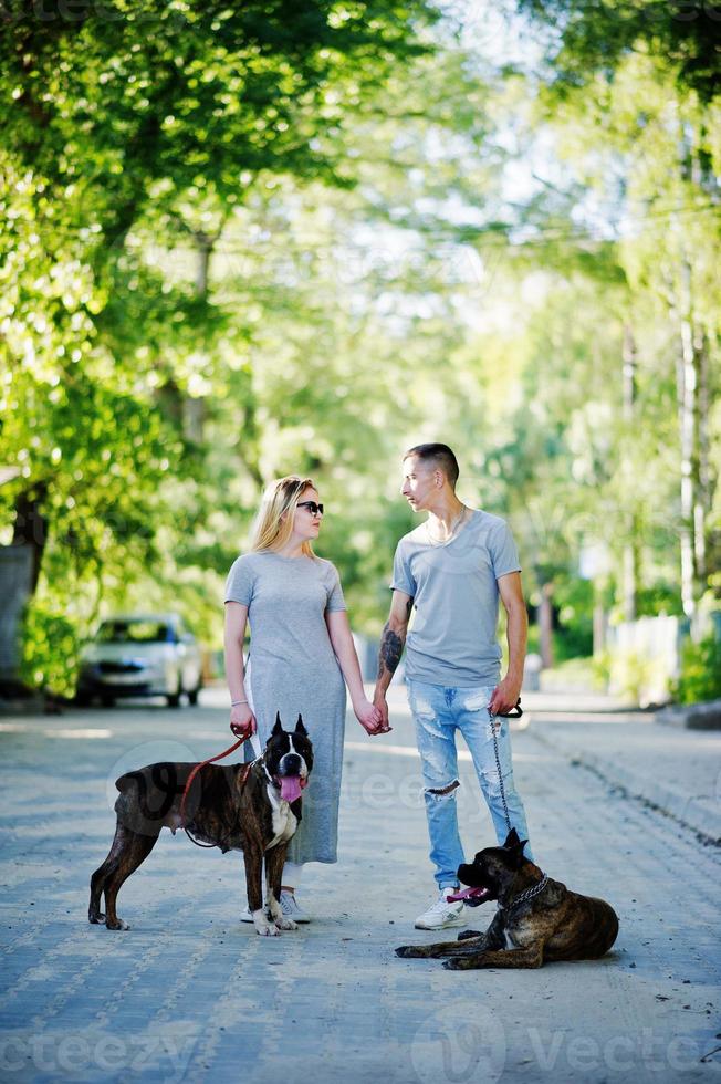 paar verliefd op twee honden pitbullterriër op een wandeling. foto