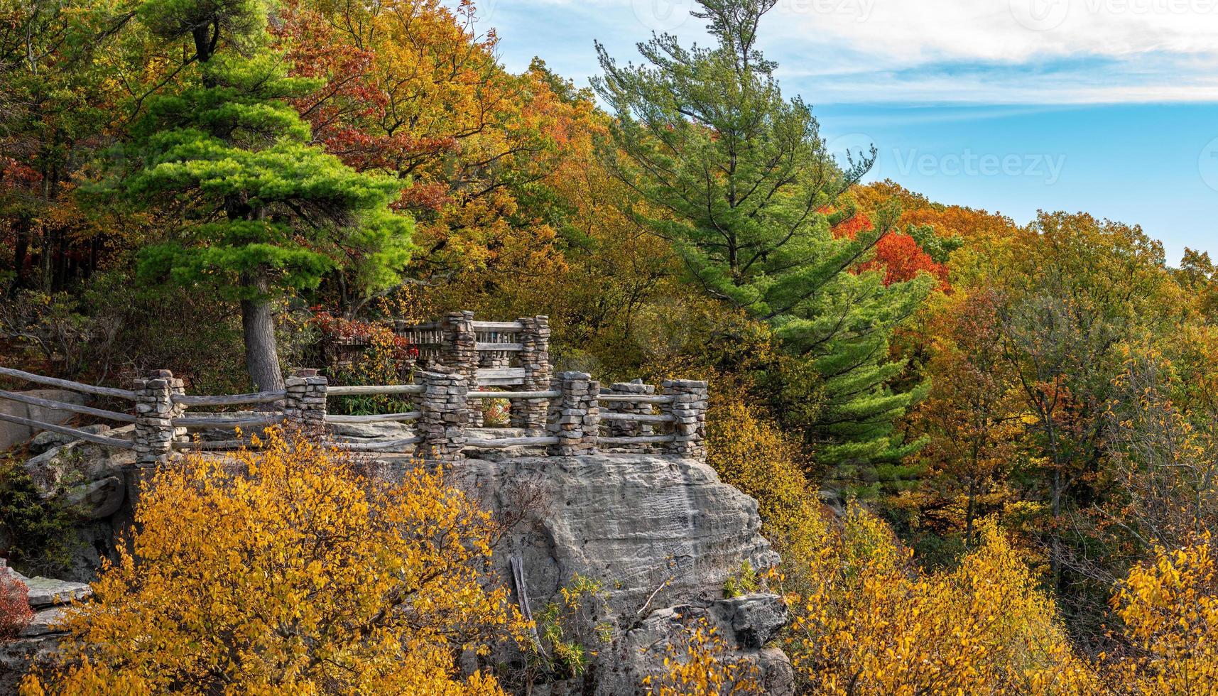 Coopers Rock State Park kijkt uit over de cheat-rivier in West-Virginia met herfstkleuren foto