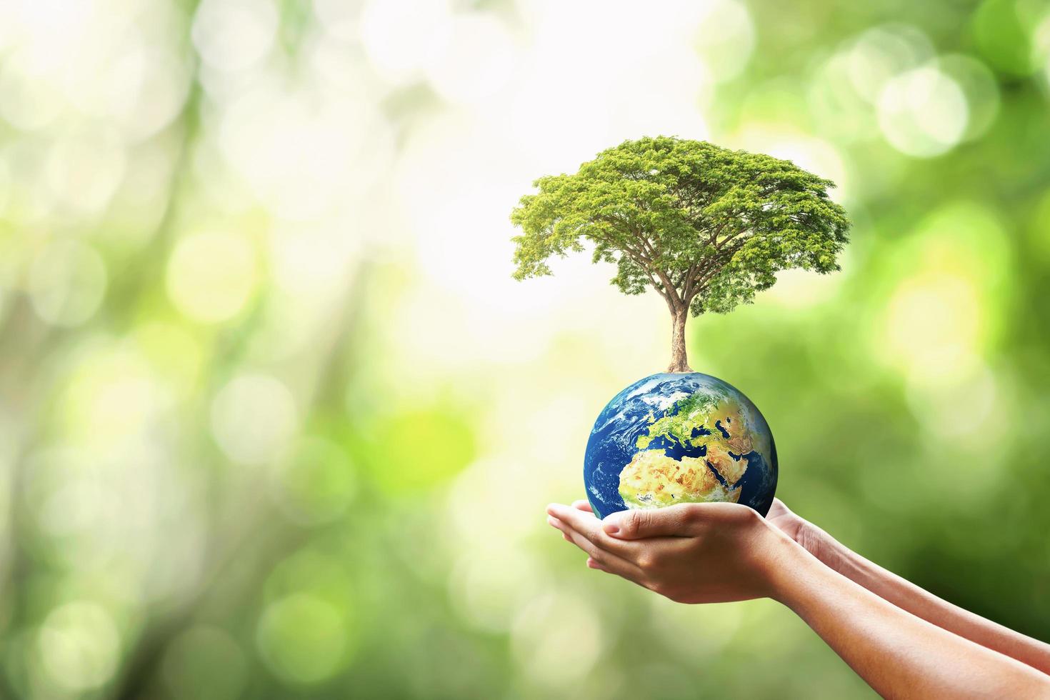 hand met wereldbol met het planten van bomen en wazig groen natuur ecologisch concept. elementen van deze afbeelding geleverd nasa foto