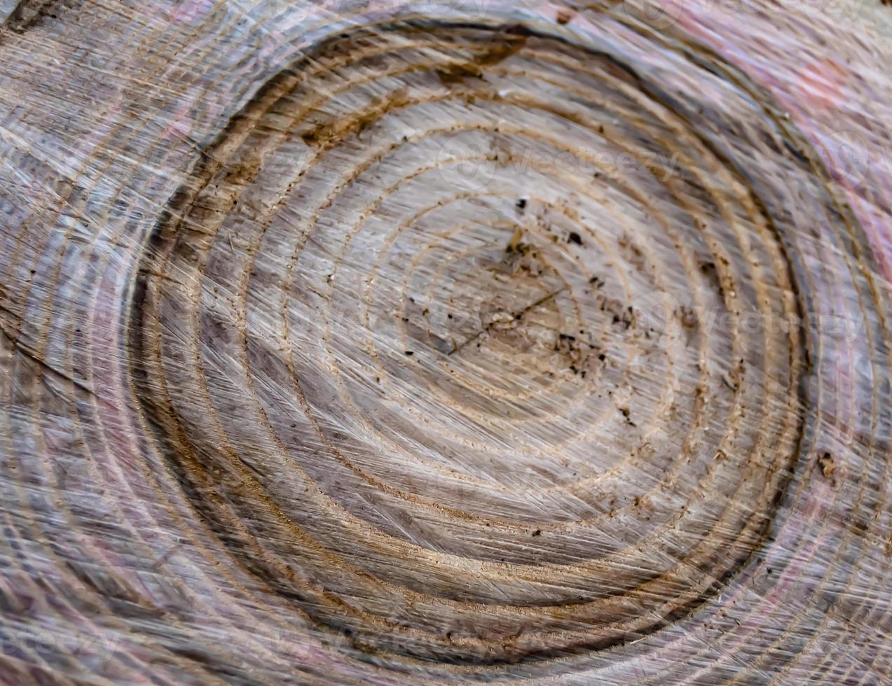 mooie houten breuk oude eik, natuurlijke textuur close-up foto