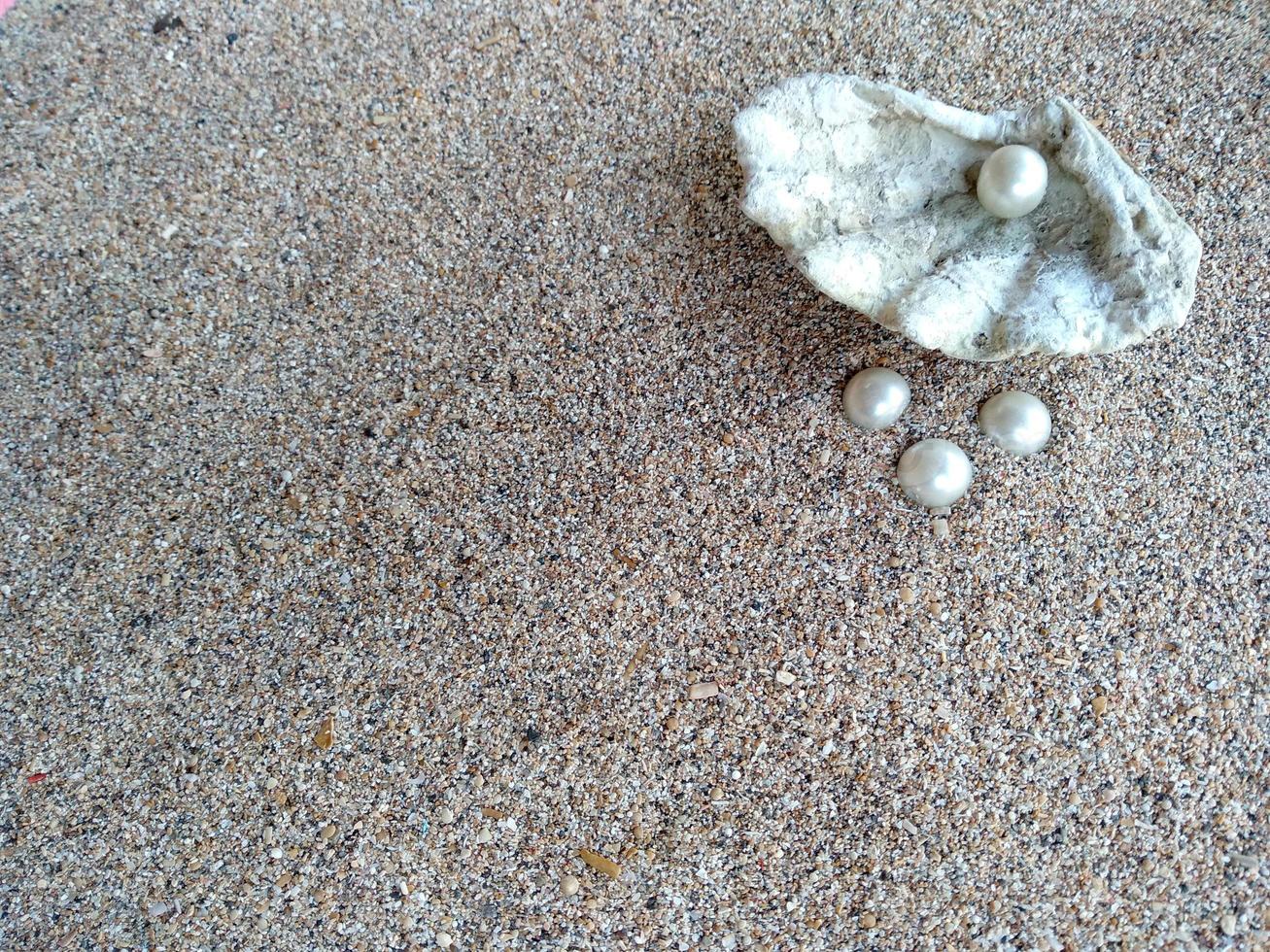 schelp met een parel op een strandzand foto