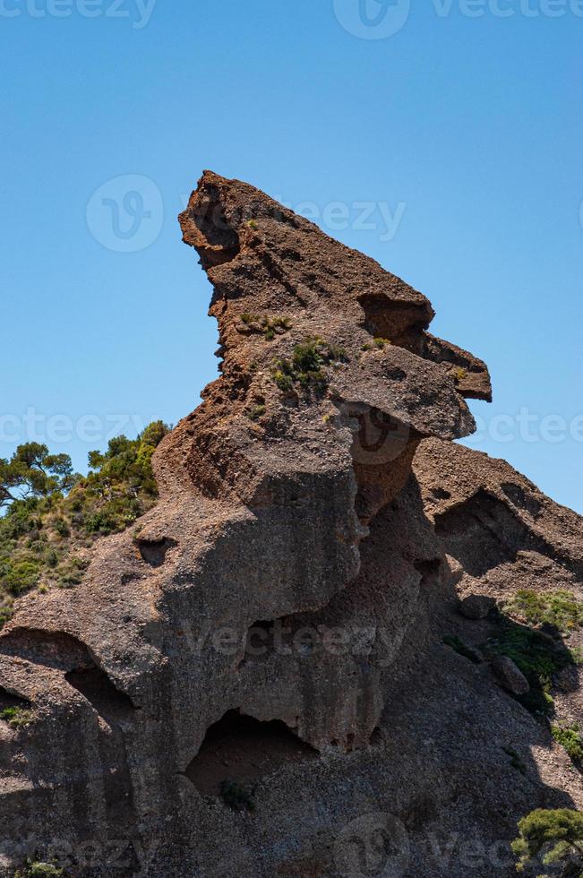 massieve rots doormidden in een veld foto