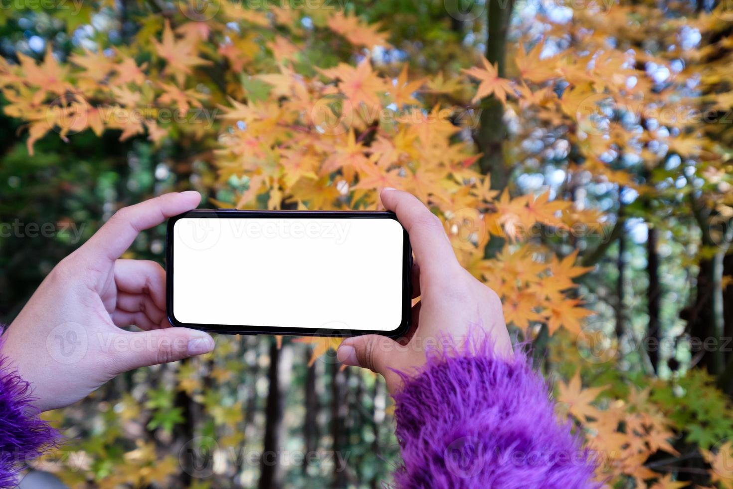 toeristisch vrouwtje dat in de herfst een foto maakt van esdoornbladeren vanaf een smartphone