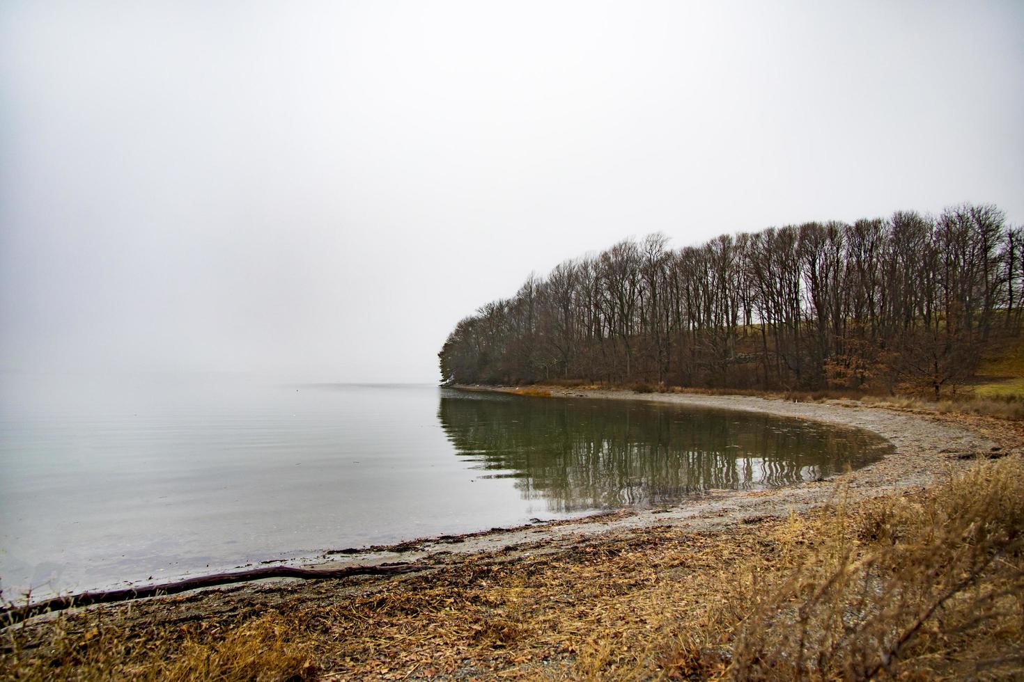 beboste zandkust nabij de oceaan foto