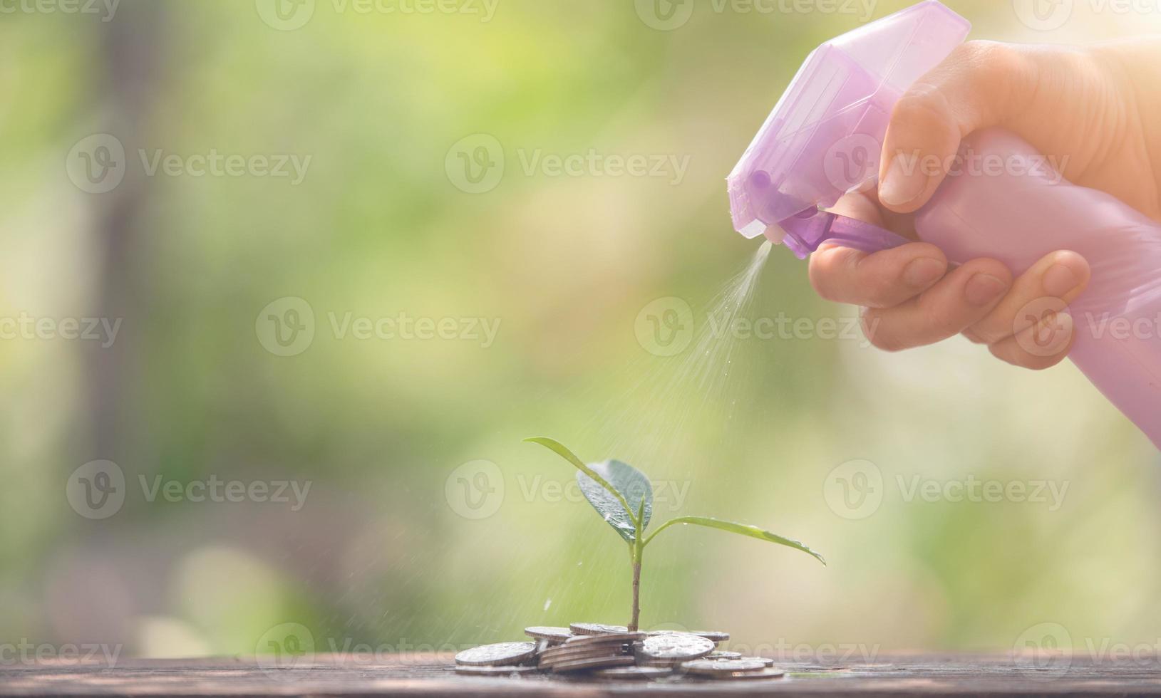 sproeien van water naar kleine boom foto