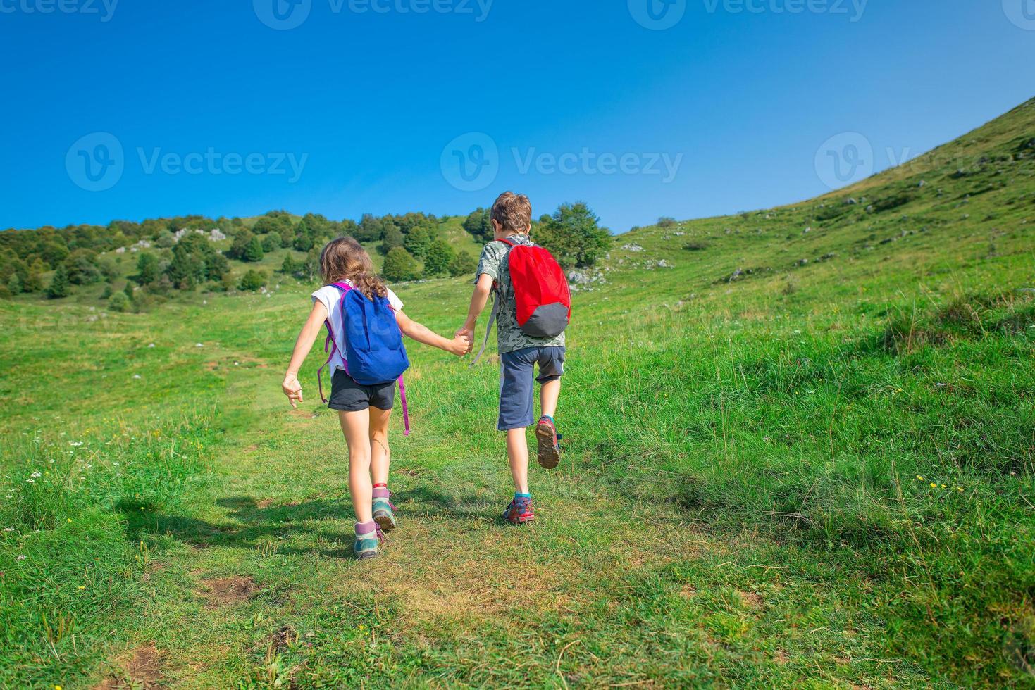 kinderen houden elkaars hand vast tijdens het wandelen in de bergen foto