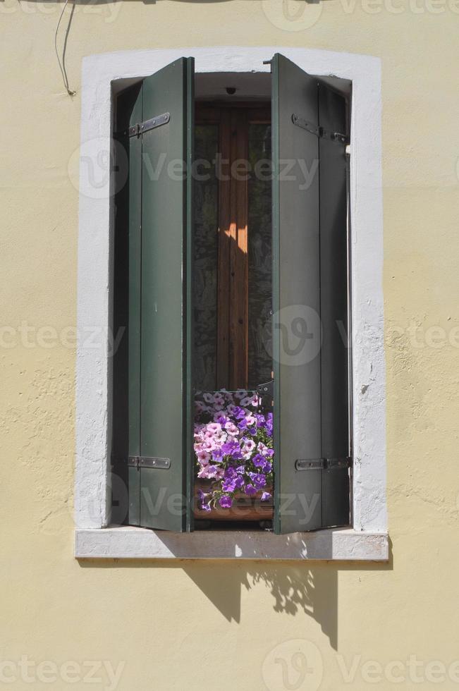 oud raam met bloemen foto