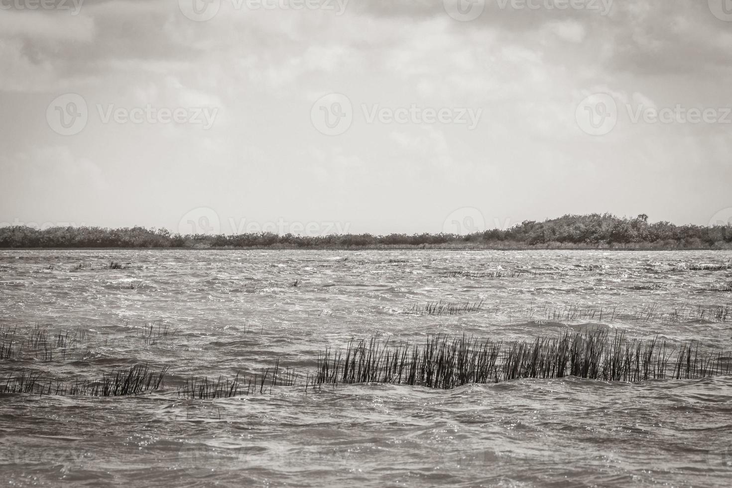 muyil lagune panorama uitzicht landschap natuur turquoise water mexico. foto