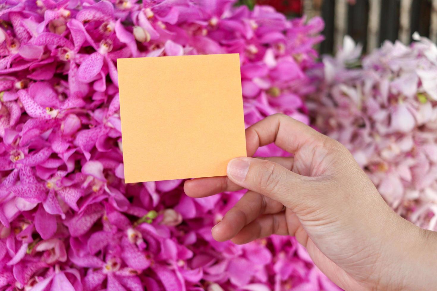blanco notitiepapier in de hand op een prachtige paarse roze orchideebloemboeketachtergrond, kopieerruimte op de kaart om uw bericht te plaatsen. foto