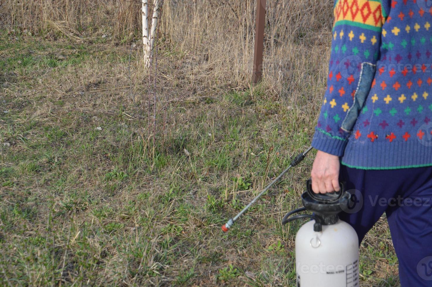 bomen en planten besproeien met een oplossing om te beschermen foto