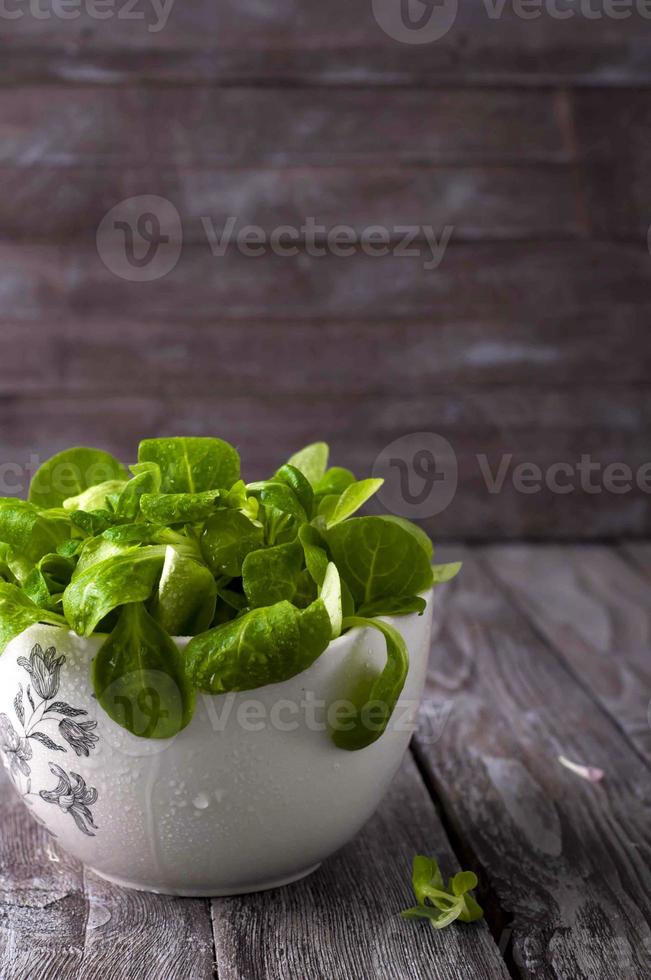 verse groene salade met spinazie foto