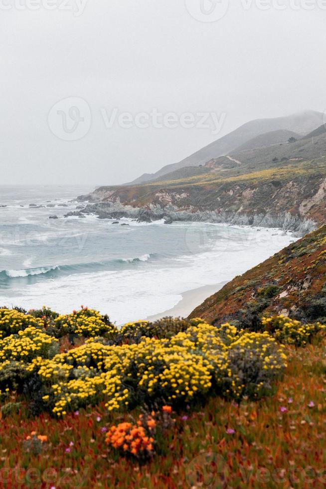 kustbloemen en uitzicht op de oceaan foto