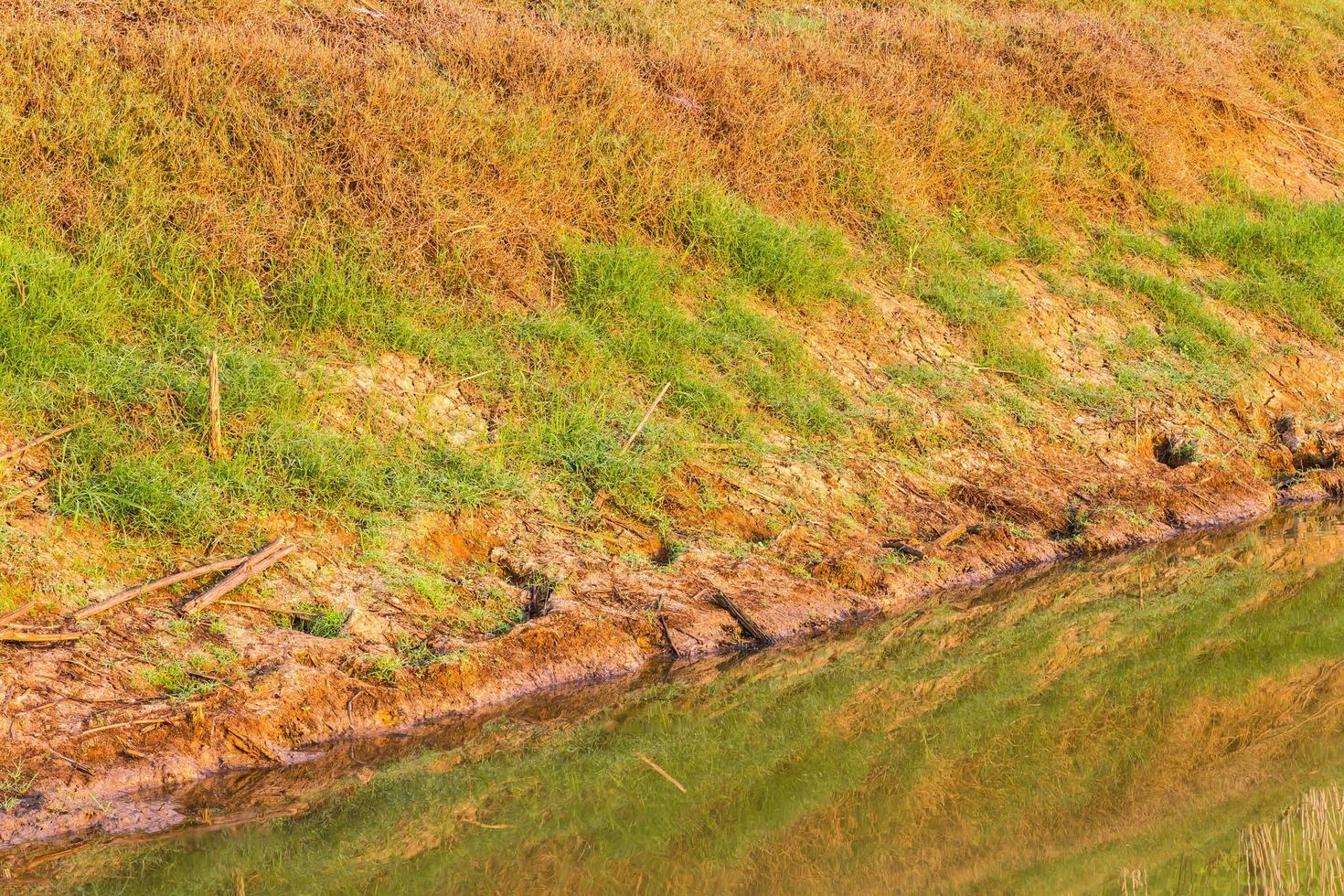 gras kanaal water reflectie foto