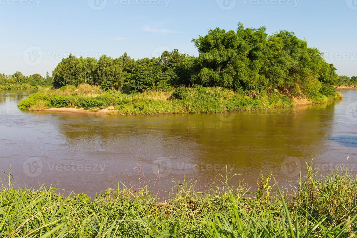 bamboe rivier eiland foto