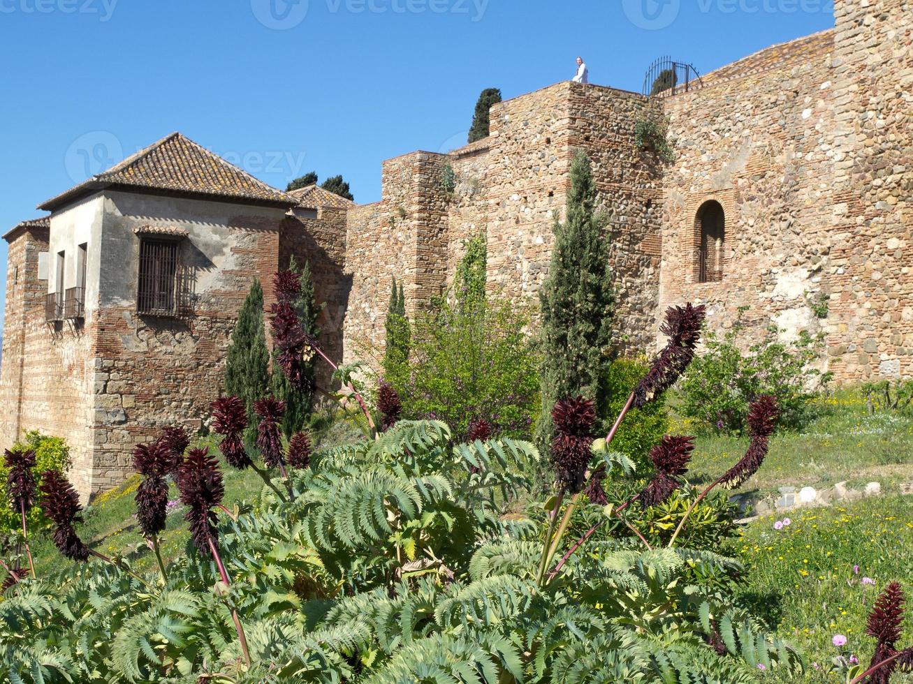 de stad malaga in spanje foto