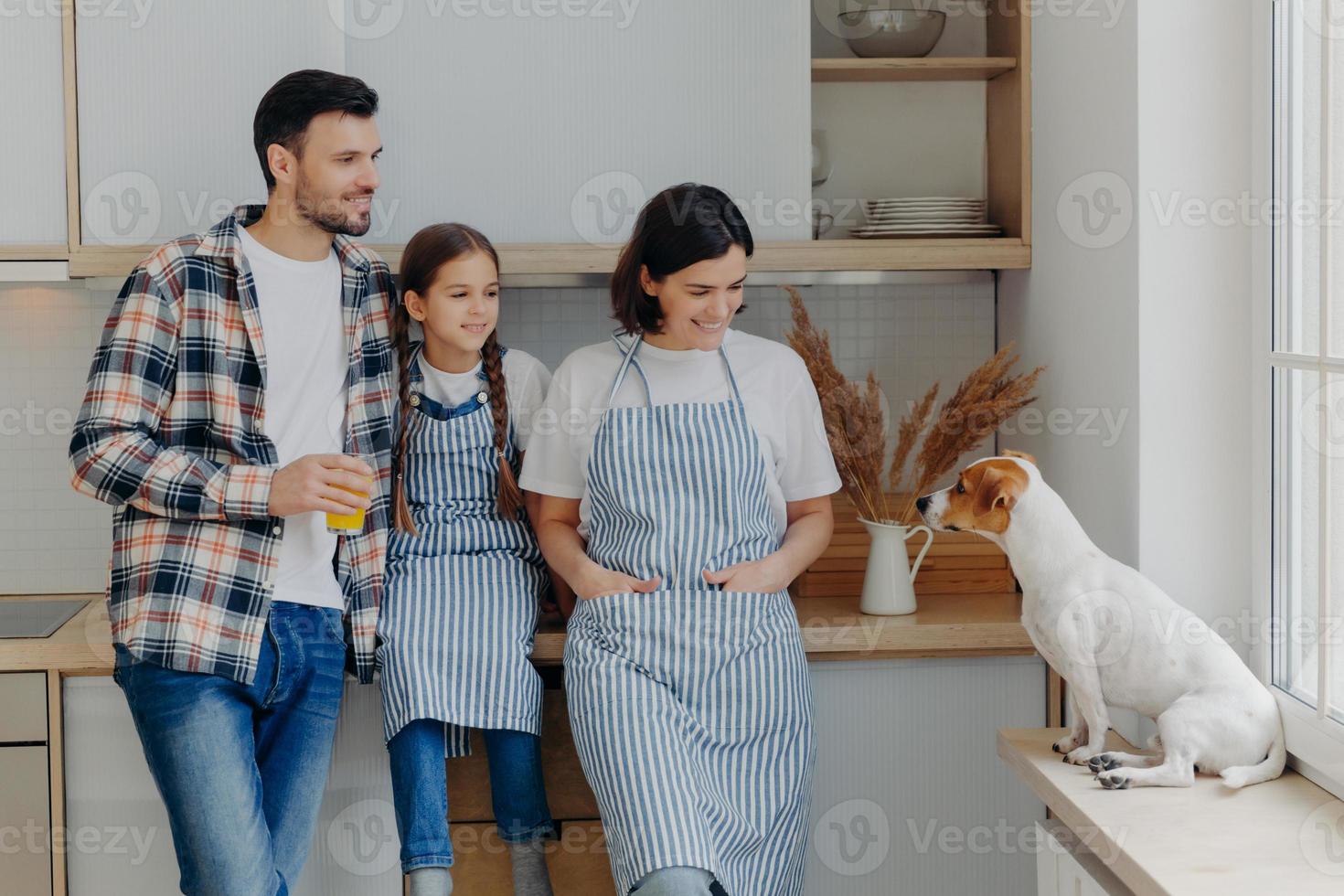 foto van een klein vrouwelijk kind, haar moeder en vader staan samen in de moderne keuken, kijken met grappige uitdrukkingen naar de jack russell terrier-hond, brengen weekend thuis door, gaan iets lekkers koken