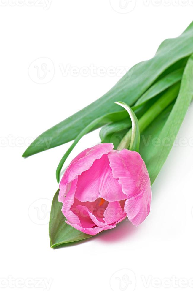 vrolijk pasen - bloemen en kleurrijke eieren foto