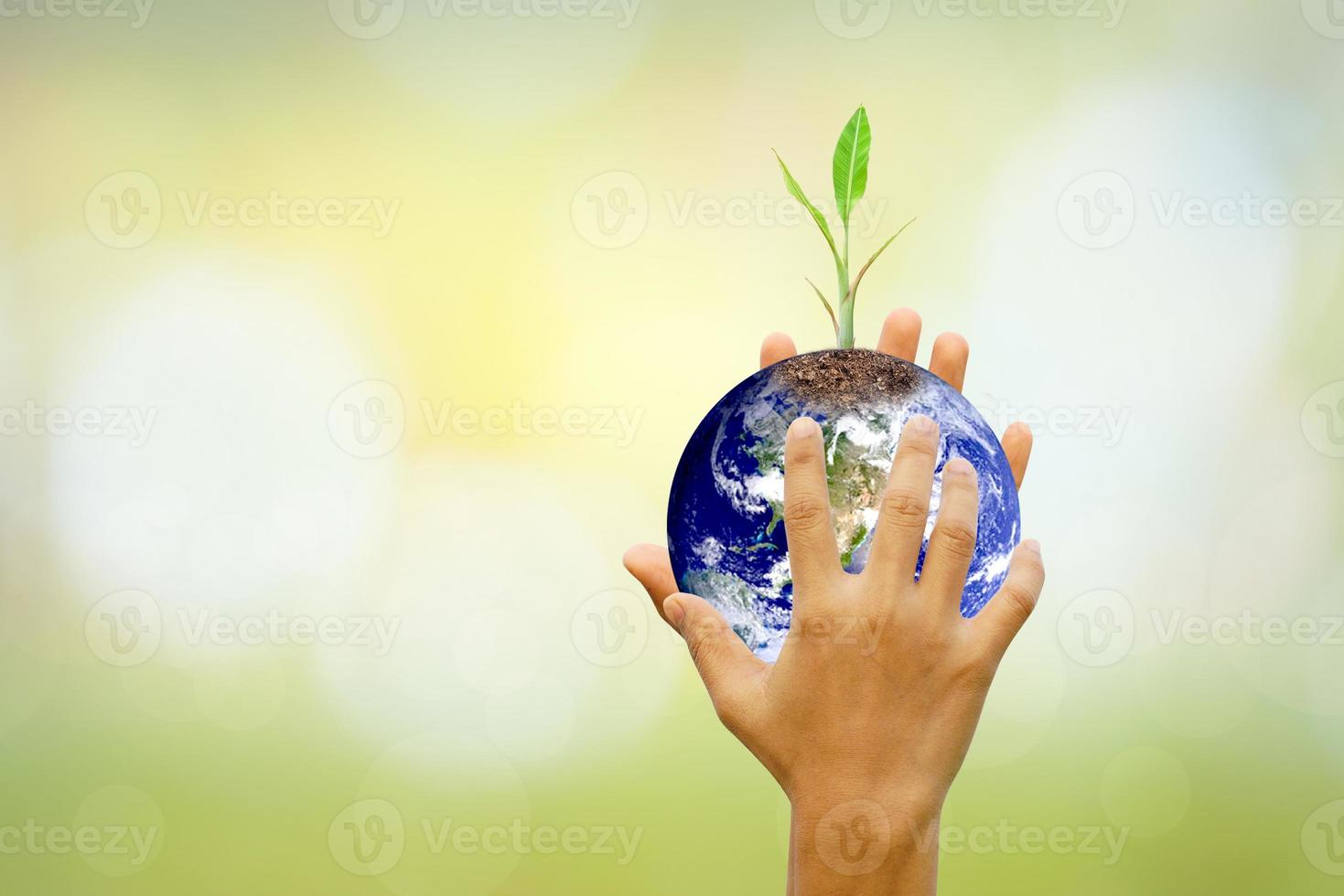 menselijke hand met boom en wereld op wazig natuur background.world milieu dag. foto