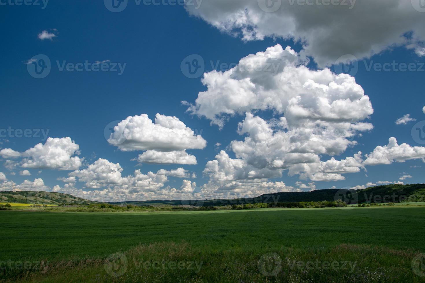 landbouwgrond in de qu'appelle-vallei, oostelijk saskatchewan, canada. foto