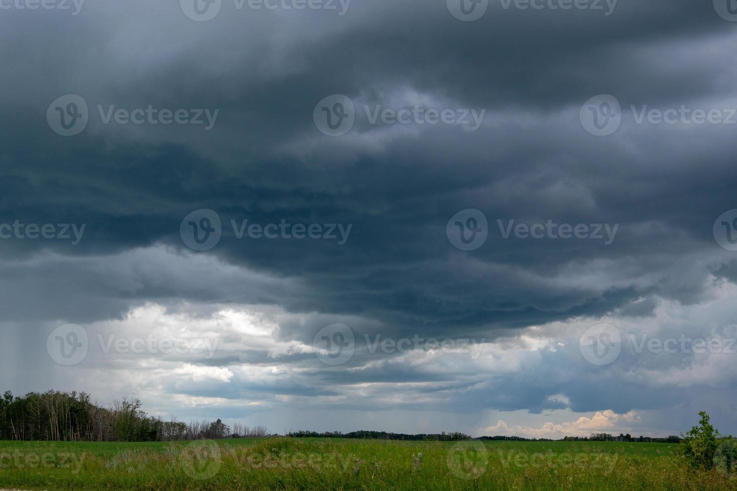 naderende onweerswolken boven een canola-veld, saskatchewan, canada. foto