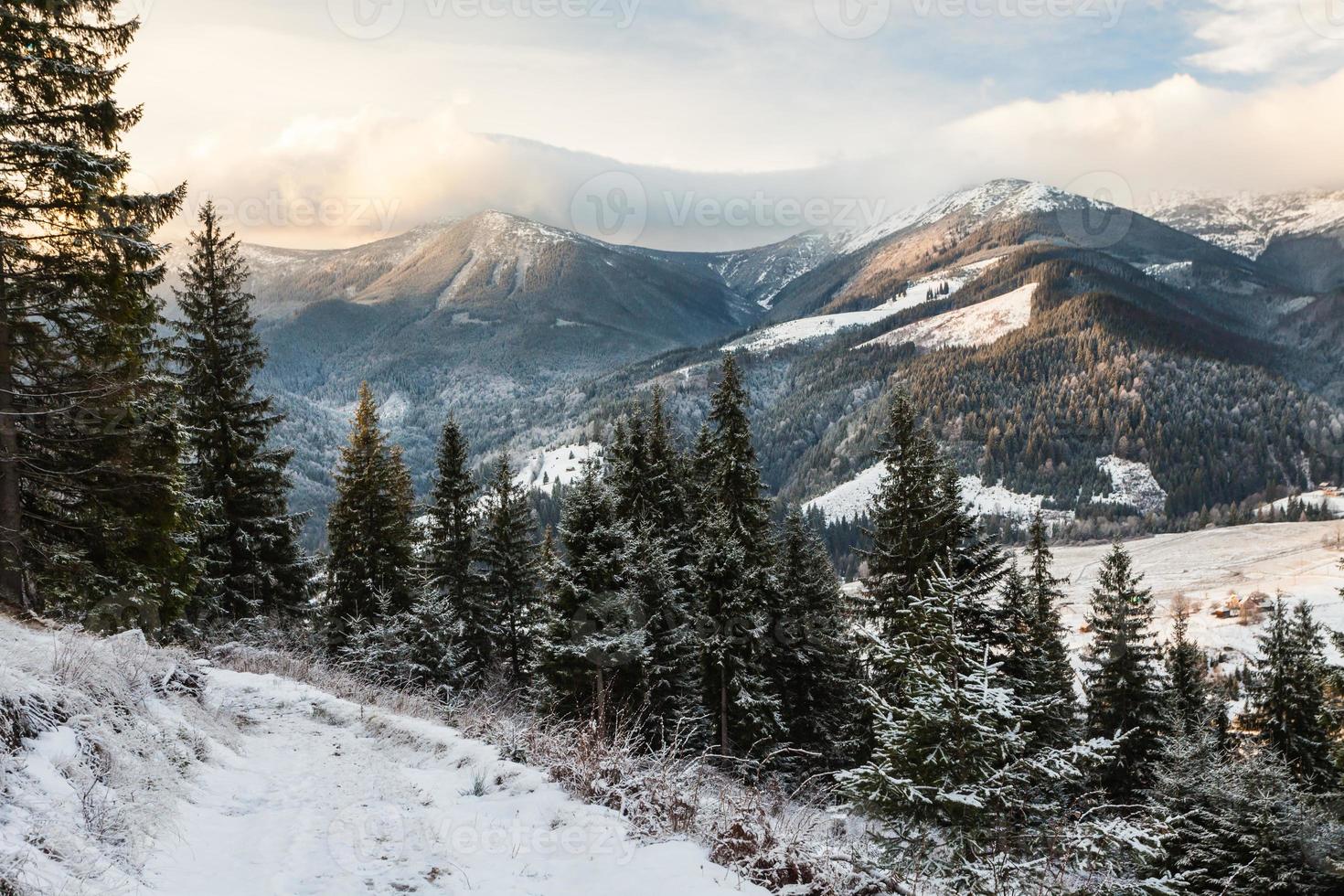prachtige winterlandschap in de bergen foto