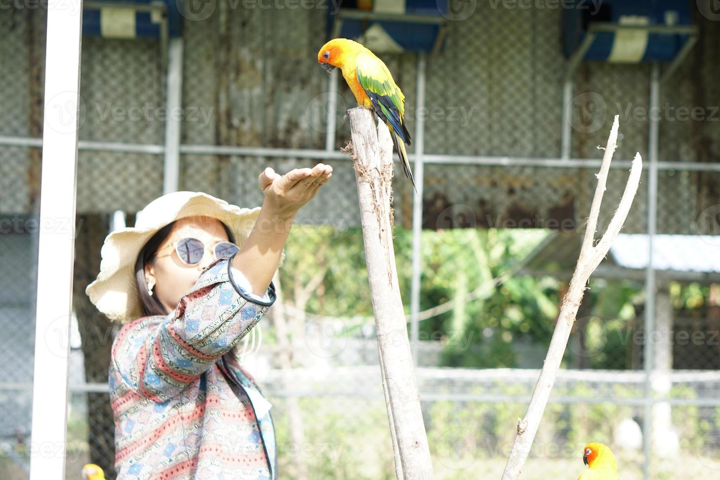 Aziatische vrouw die lacht voedt graag de papegaai foto