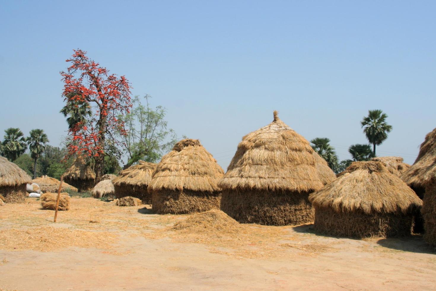 bruine hooibergen zijn op de vloer en de blauwe lucht, india. foto