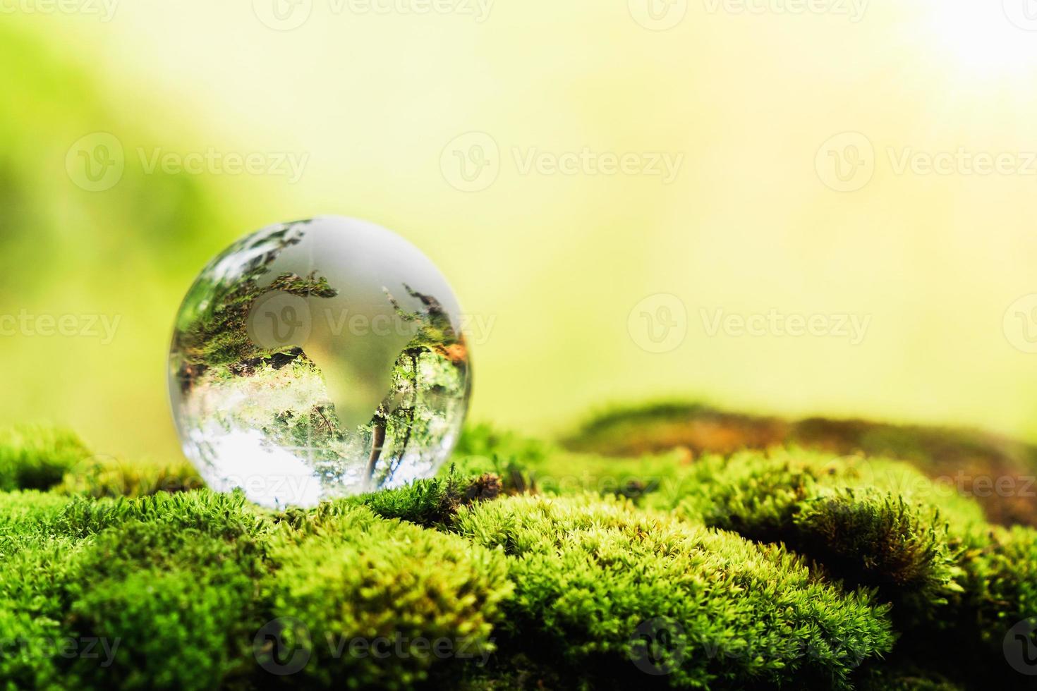 bol glas op gras met zonneschijn. milieu concept foto