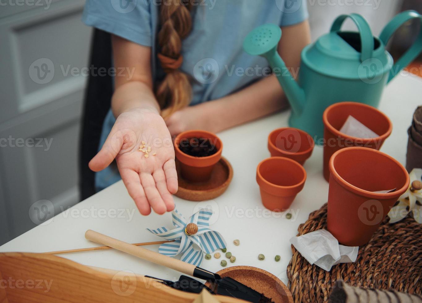 klein meisje dat thuis aan tafel zit en zaden in bloempotten zaait. foto