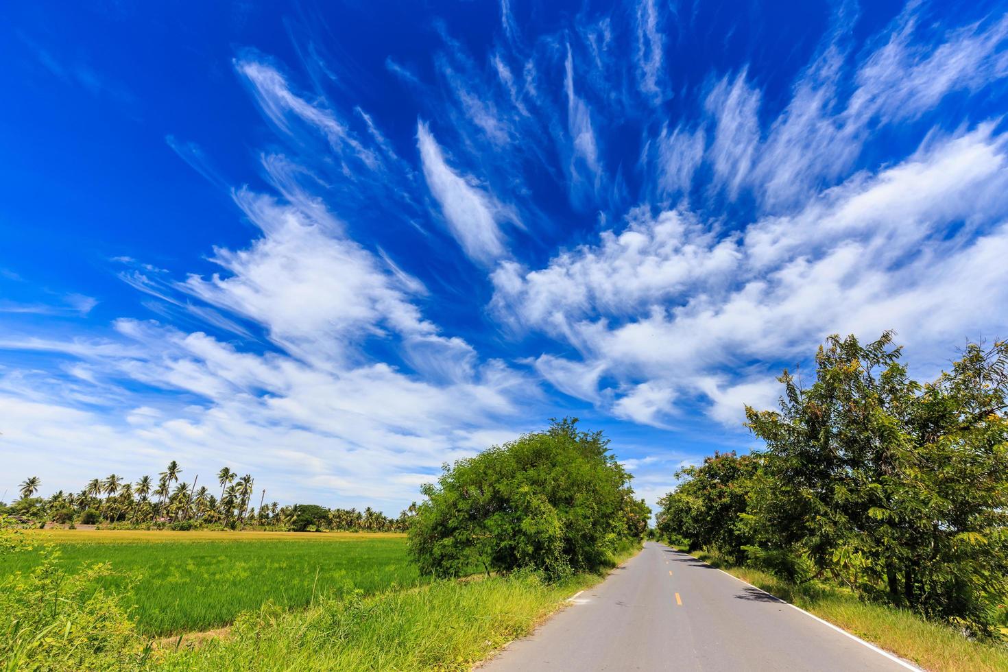 asfaltweg op het platteland met mooie lucht foto