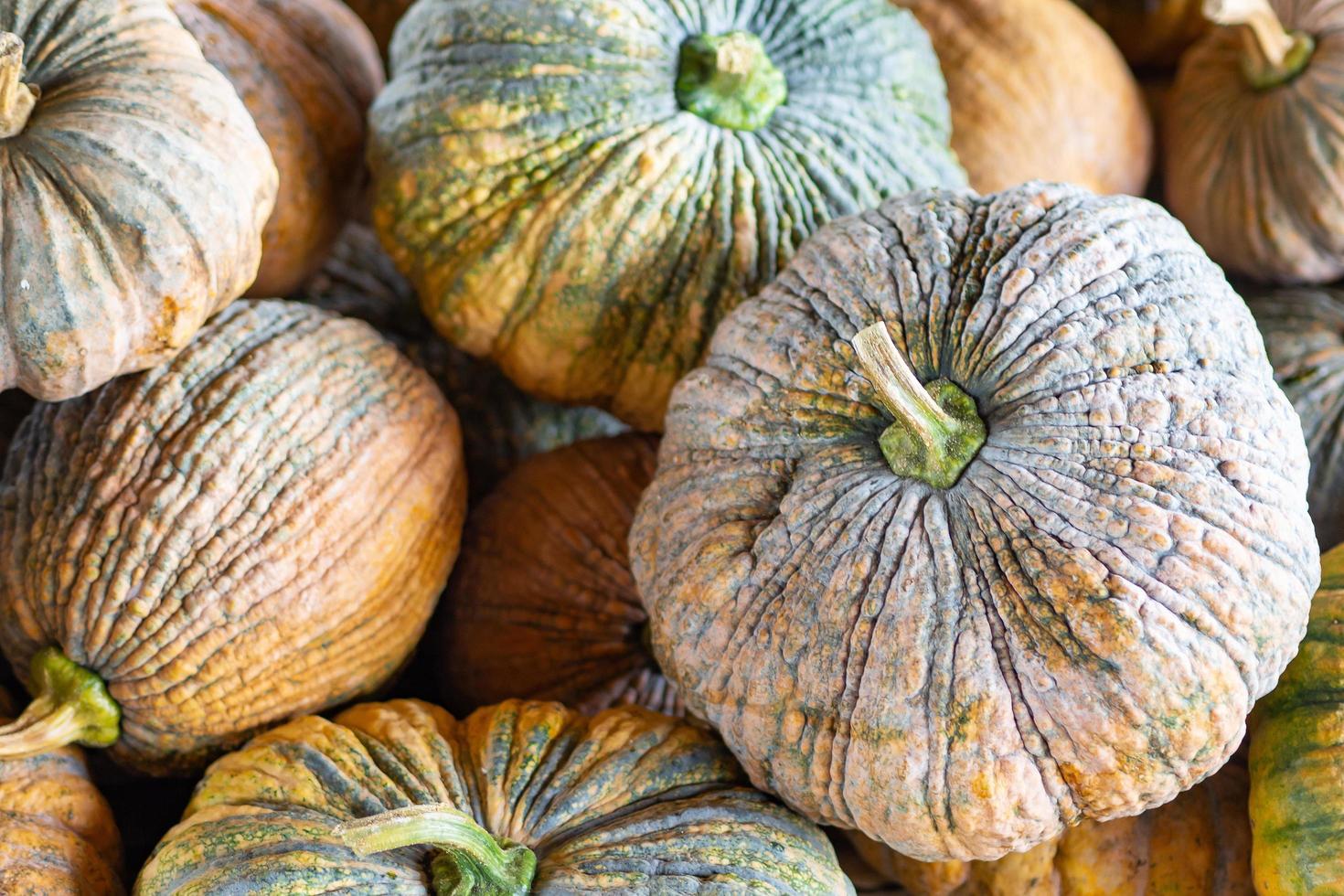 stapel pompoenen gele en groene huid te koop in de markt foto