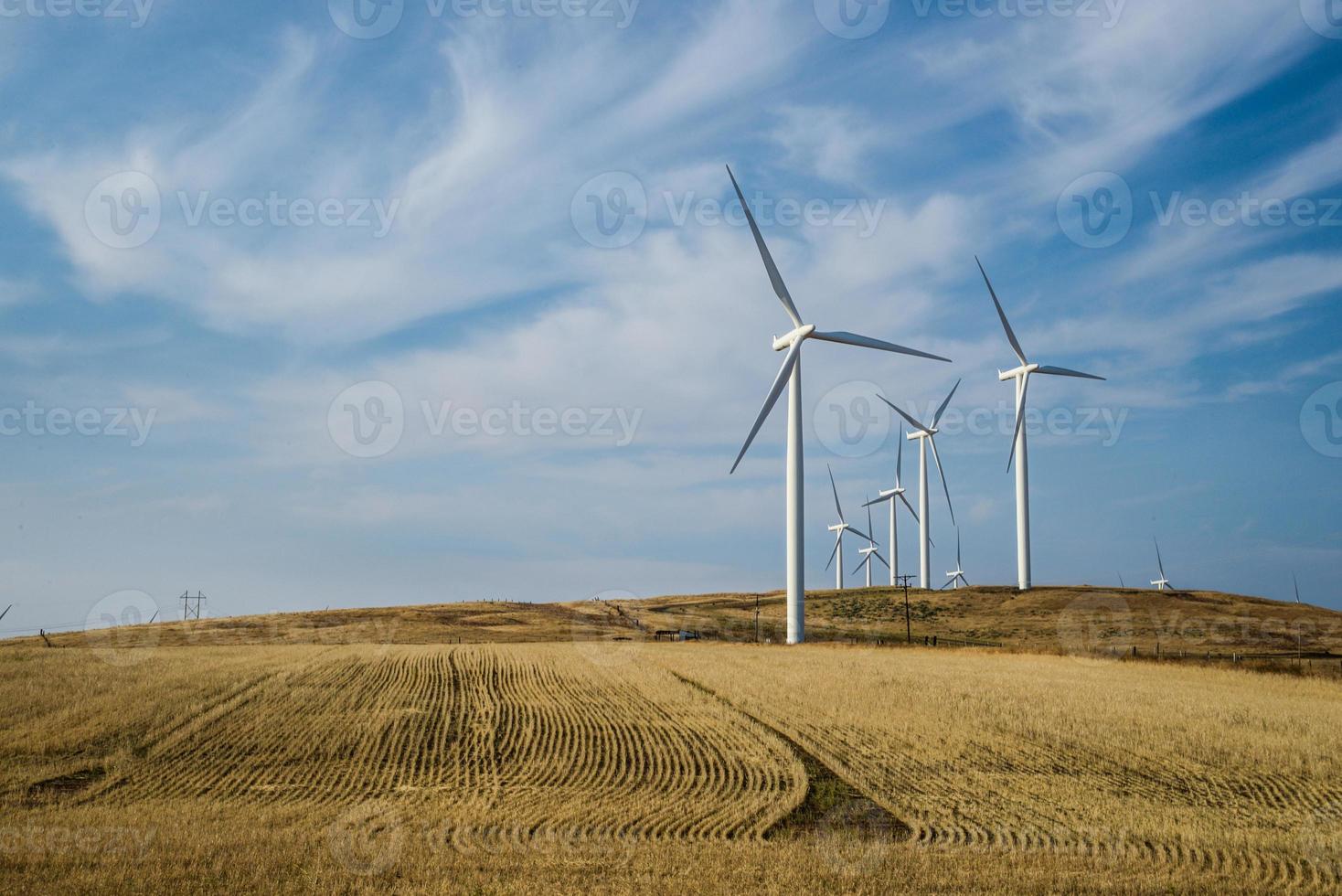 turbines in windpark foto