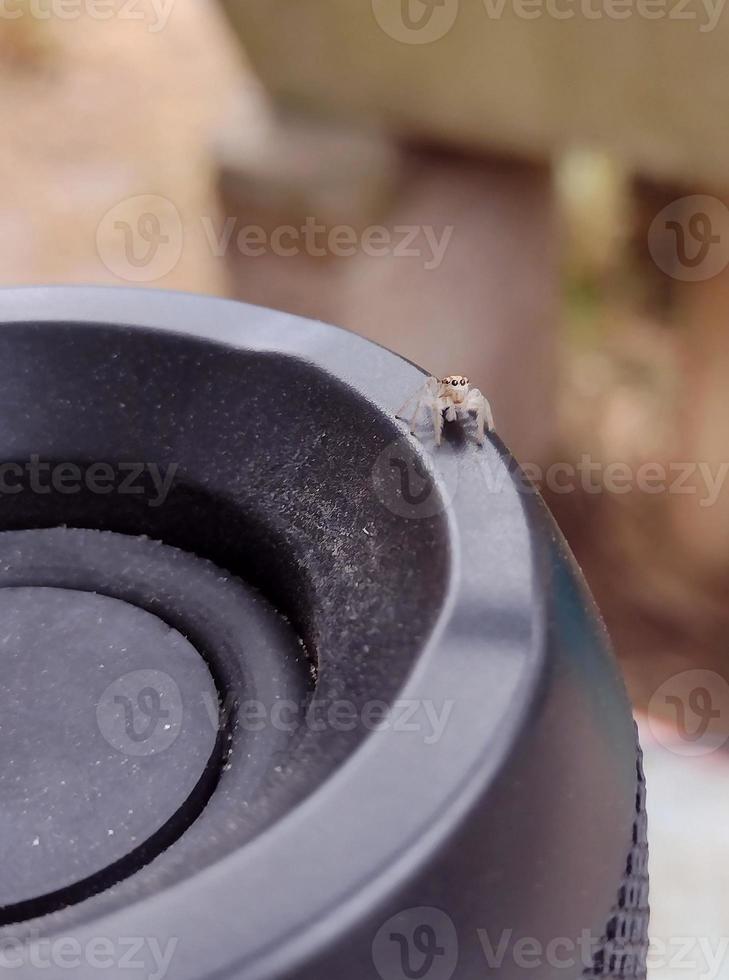 heel kleine spin over een usb-luidspreker foto