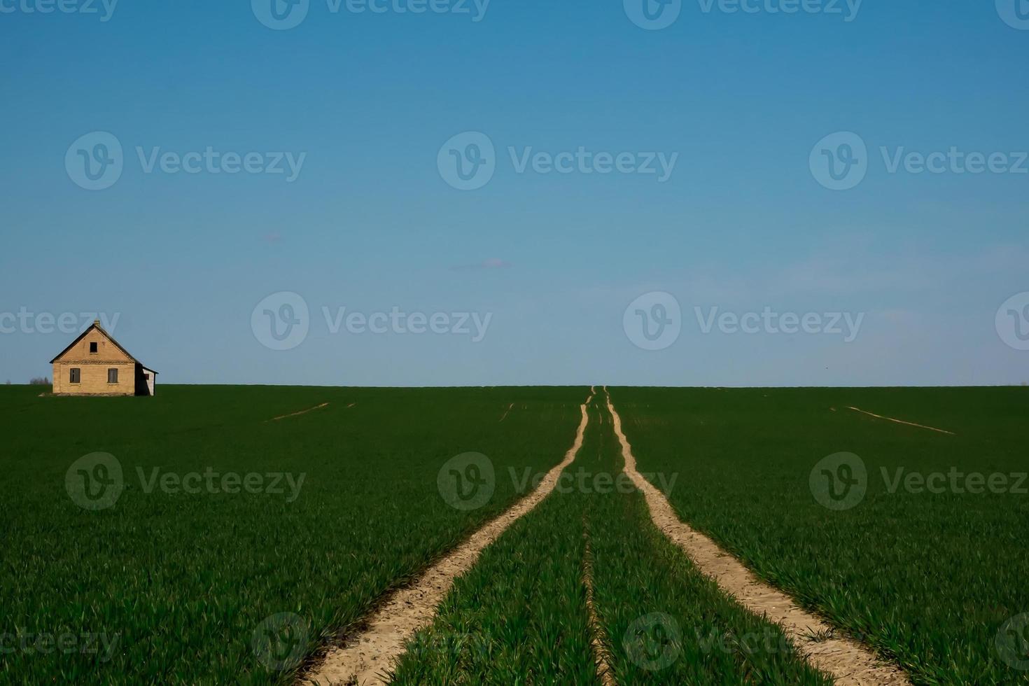 de weg naar een eenzaam huis midden in een groen veld foto