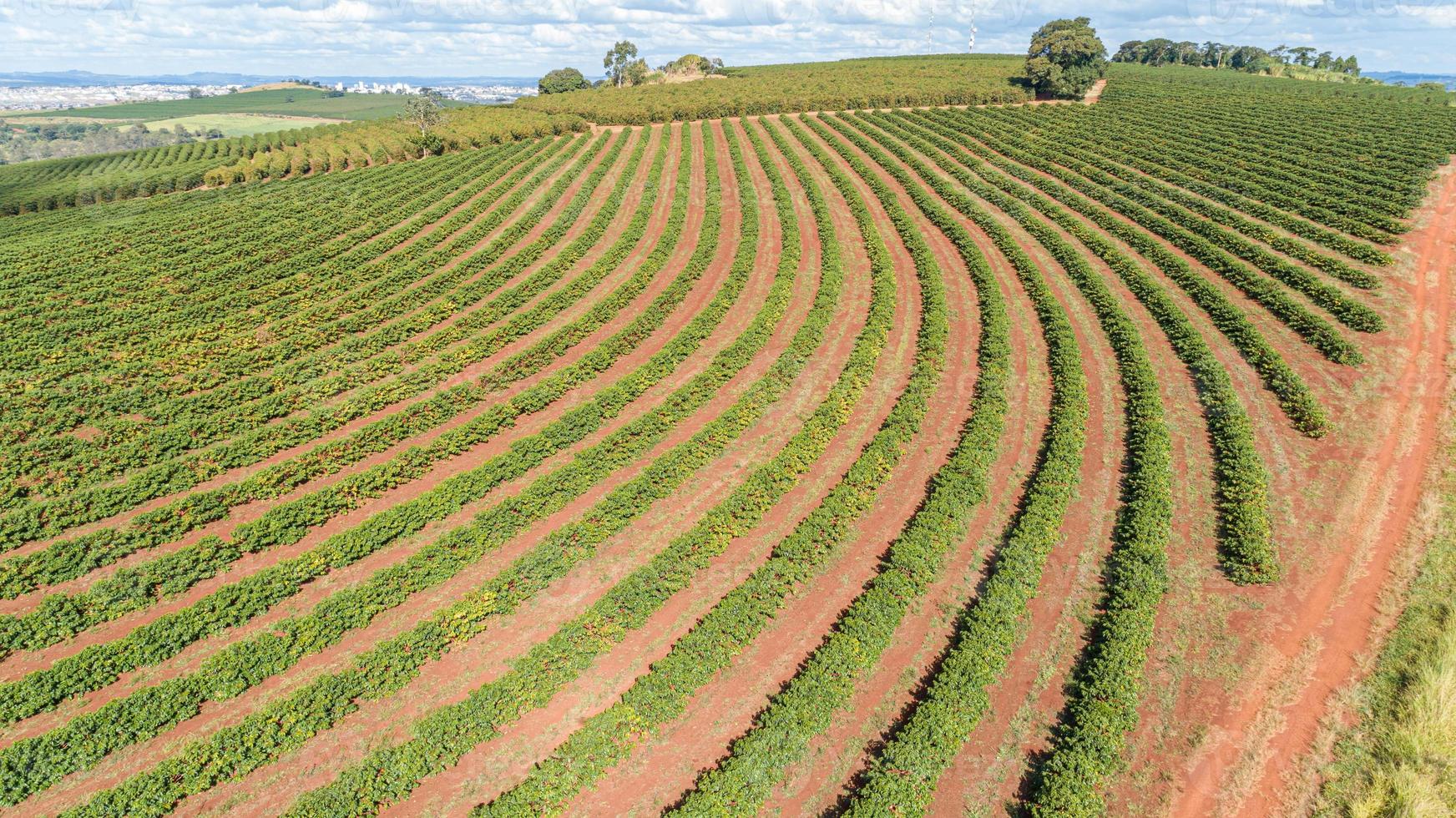 luchtfoto van een grote braziliaanse boerderij met koffieplantage. foto